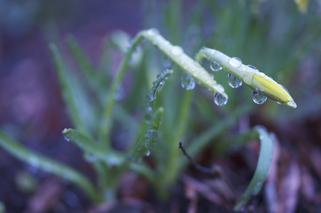 雨遊び＃１