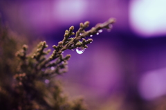 雨遊び＃３