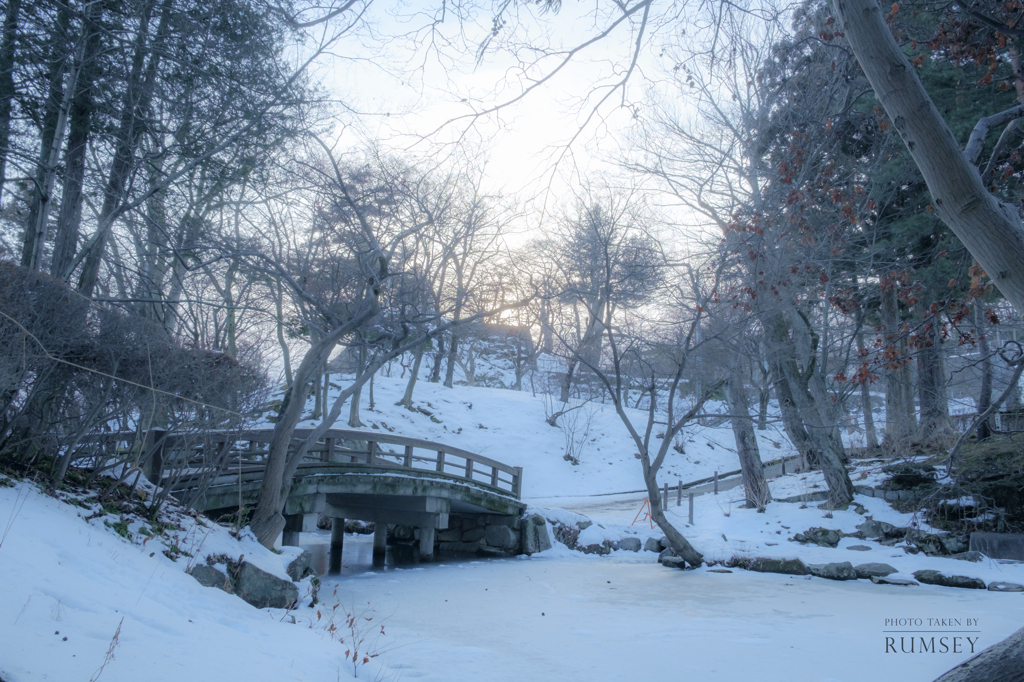 岩手城跡公園　冬景