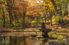 岩手城跡公園　紅葉