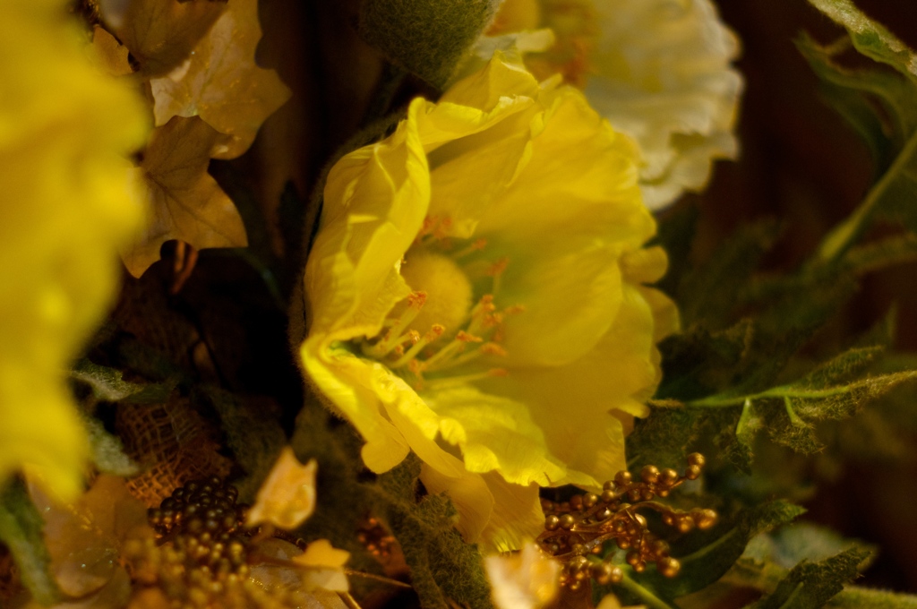 いつか本物の花を、