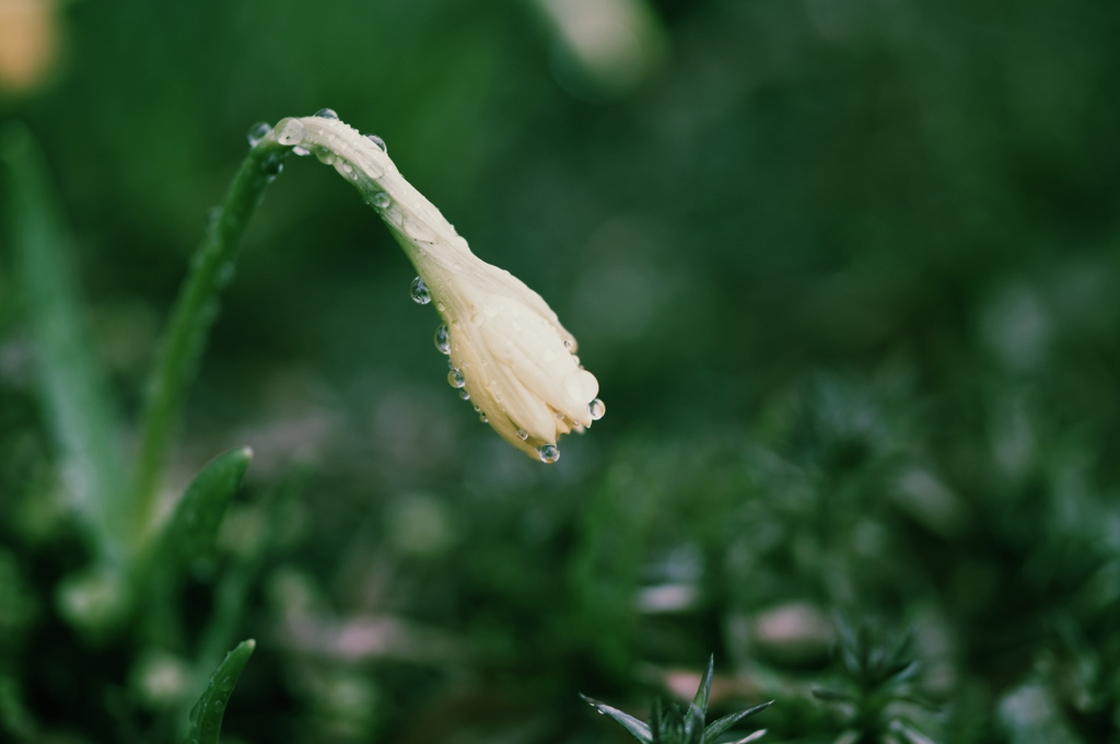 雨遊び＃２