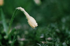 雨遊び＃２
