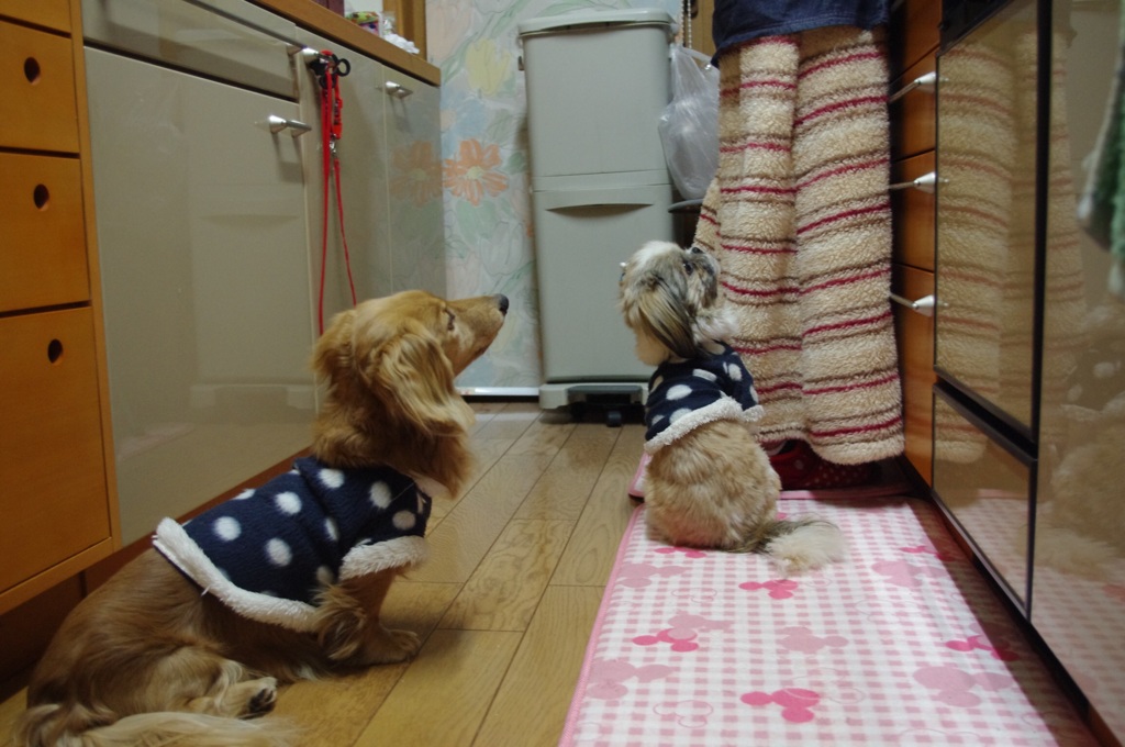フライパンの誘惑
