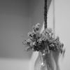 RIKOH RIKENON 50mm F2  試写