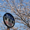 春