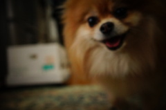 DSC01441