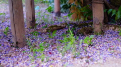 DSC02295