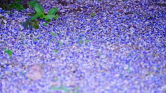 DSC02276