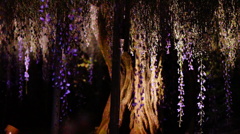 DSC02431