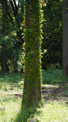 DSC02014