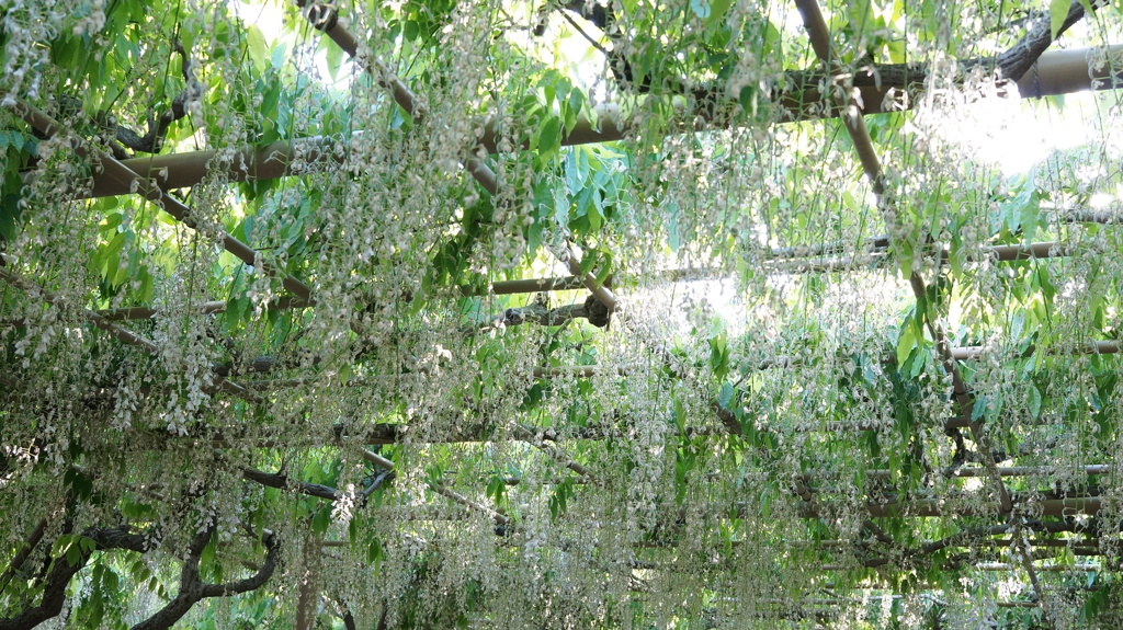DSC02200