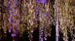 DSC02444