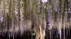 DSC02436