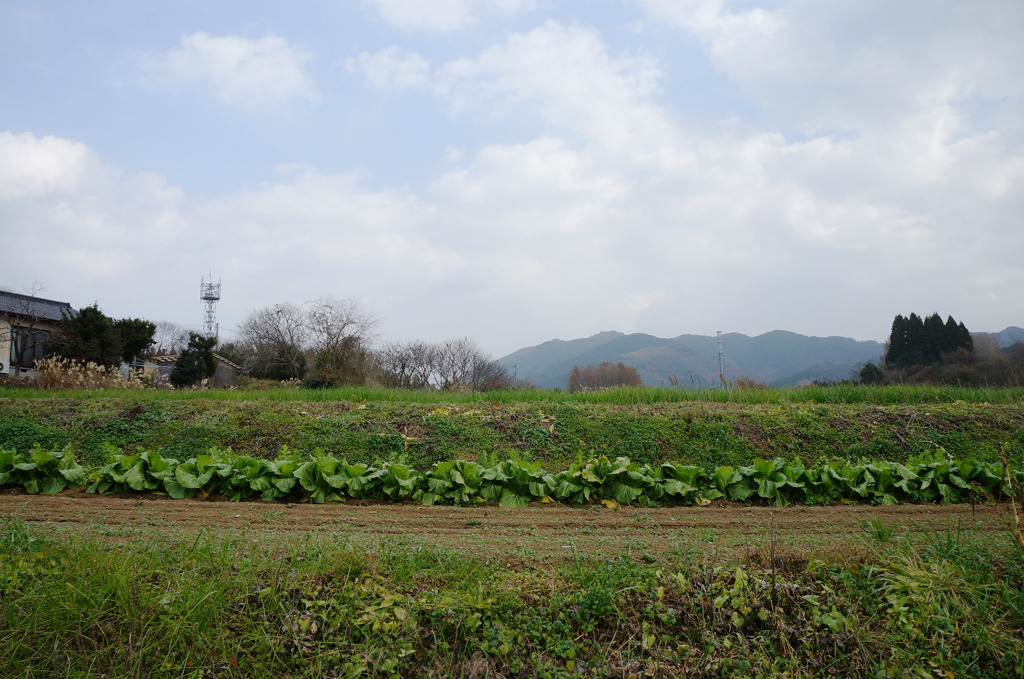 DSC01294_