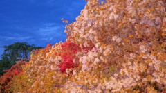 DSC02413