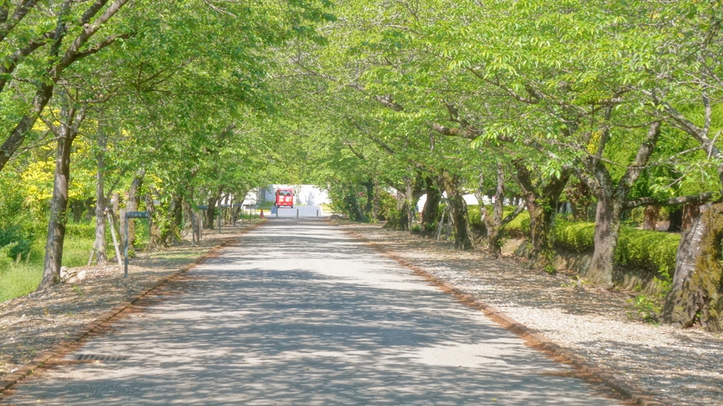 DSC02067