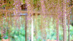 DSC02250