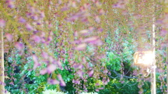 DSC02236