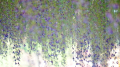 DSC02241