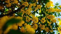 DSC02220