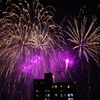 隅田川花火大会(2)