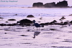 氷見　雨晴海岸