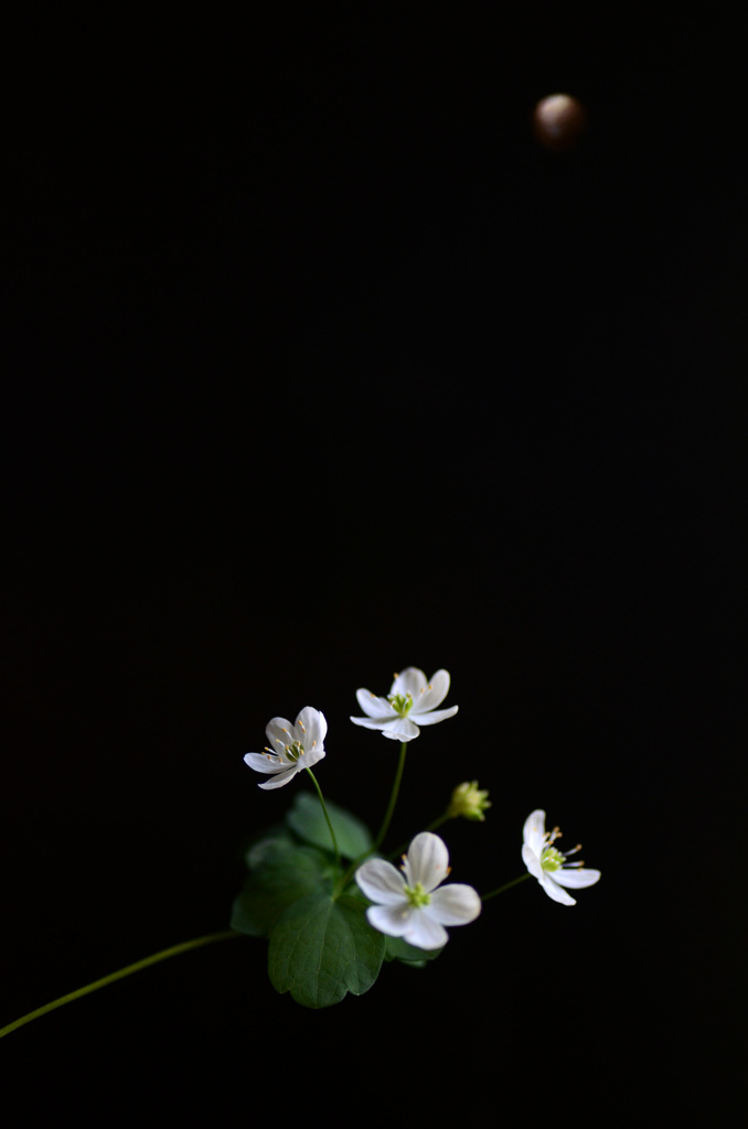 140506-45