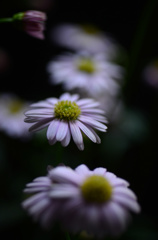 140506-112