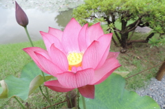 DSCN2246