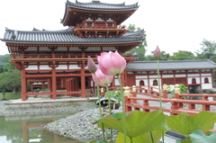 DSCN2231