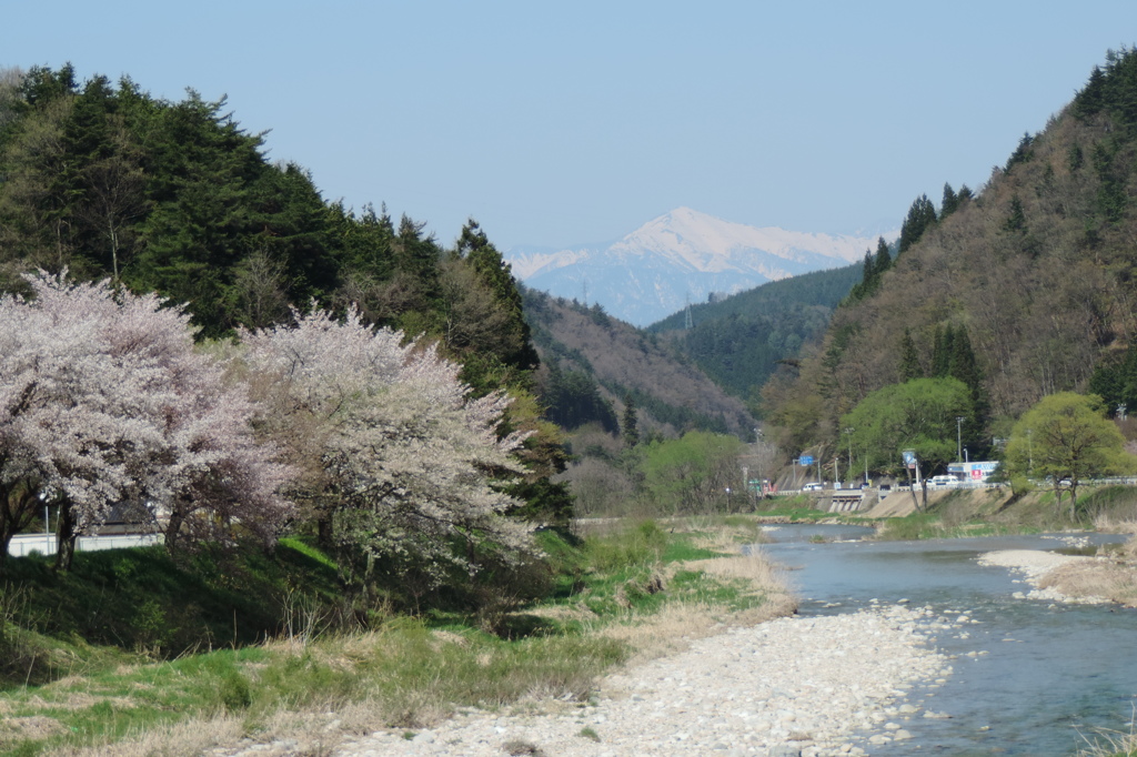 春の景色