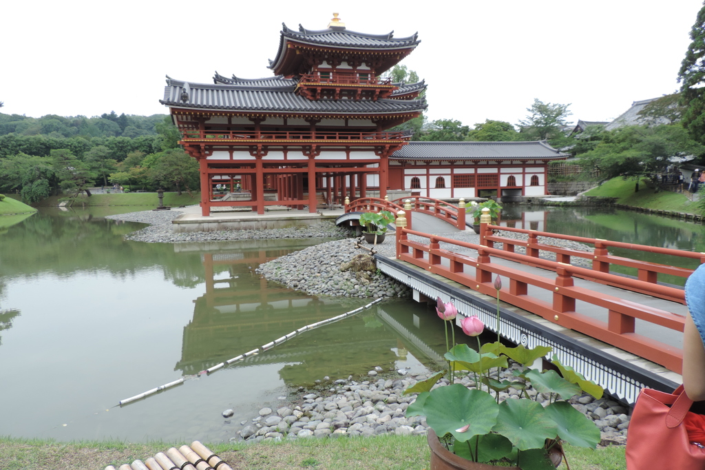 新装平等院右横