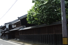 脇本陣屋敷とナンジャモンジャ