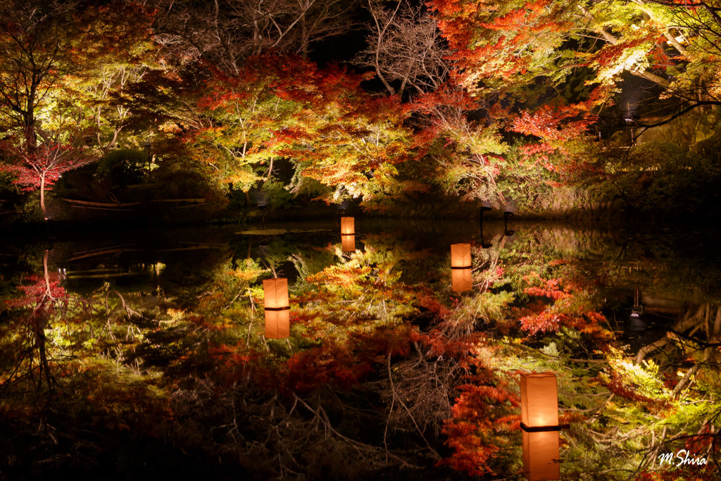紅葉祭り