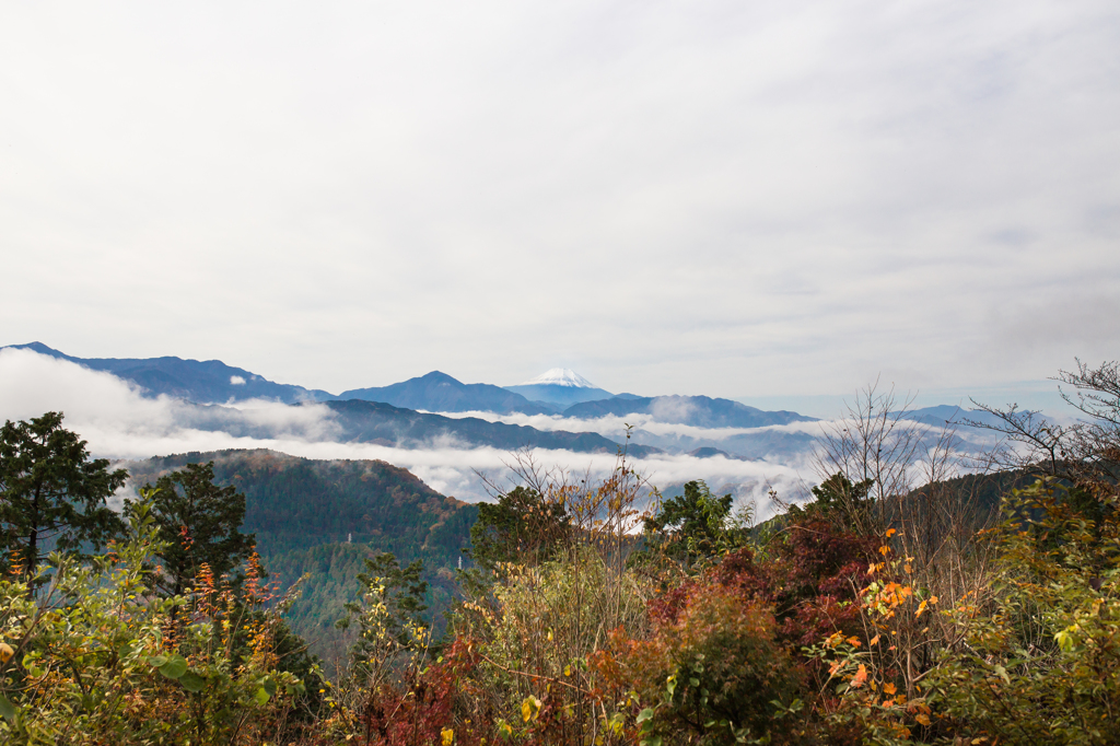 高尾山頂からの富士山