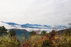 高尾山頂からの富士山