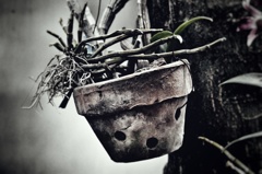 鉢植えは役に立つの？