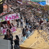桜まつりの風景