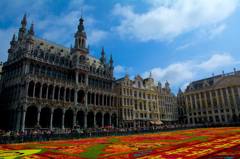 Flower carpet 2015