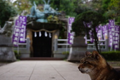 守り神