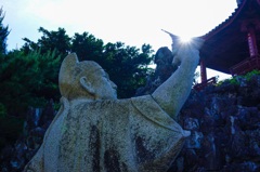 太陽の盃