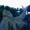 太陽の盃