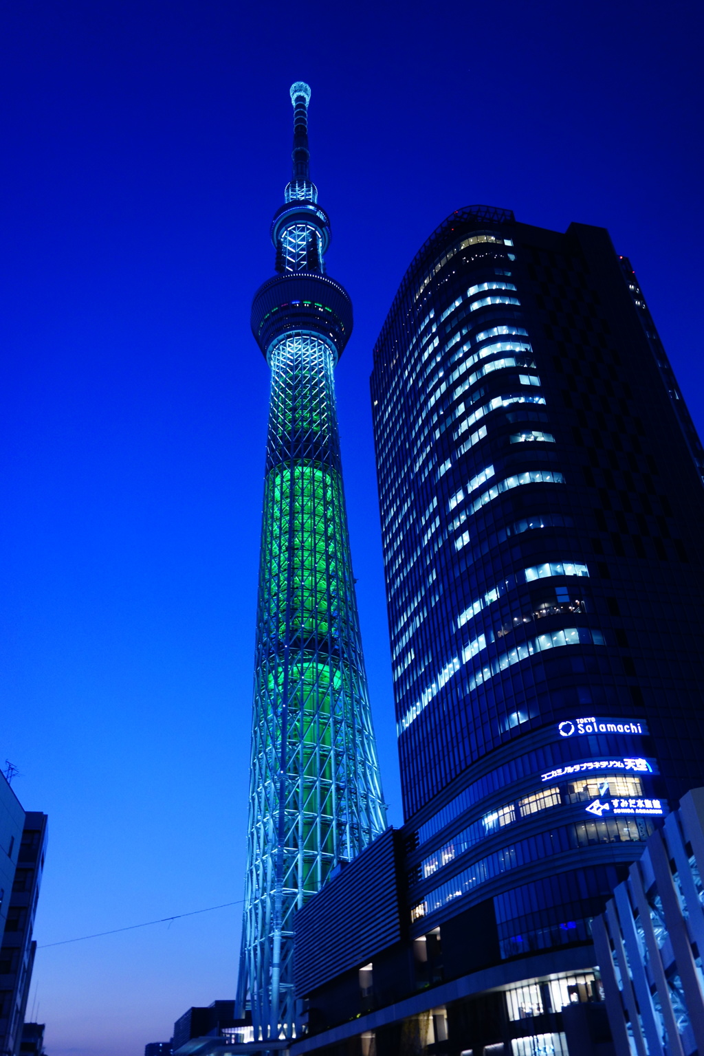 スカイツリー