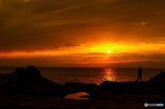 夕陽釣り