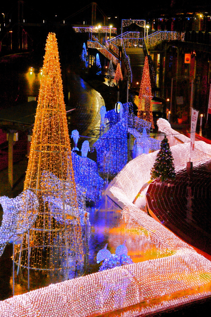 Dolphin Port