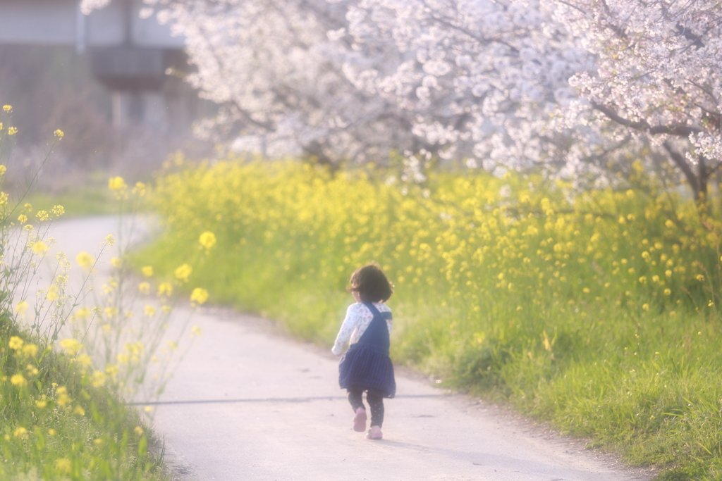 春真っ只中