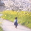 春真っ只中