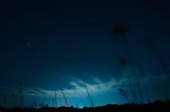 Big Sky Hunting
