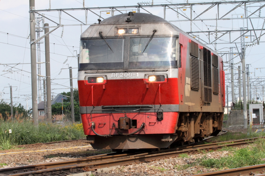 DF200 1